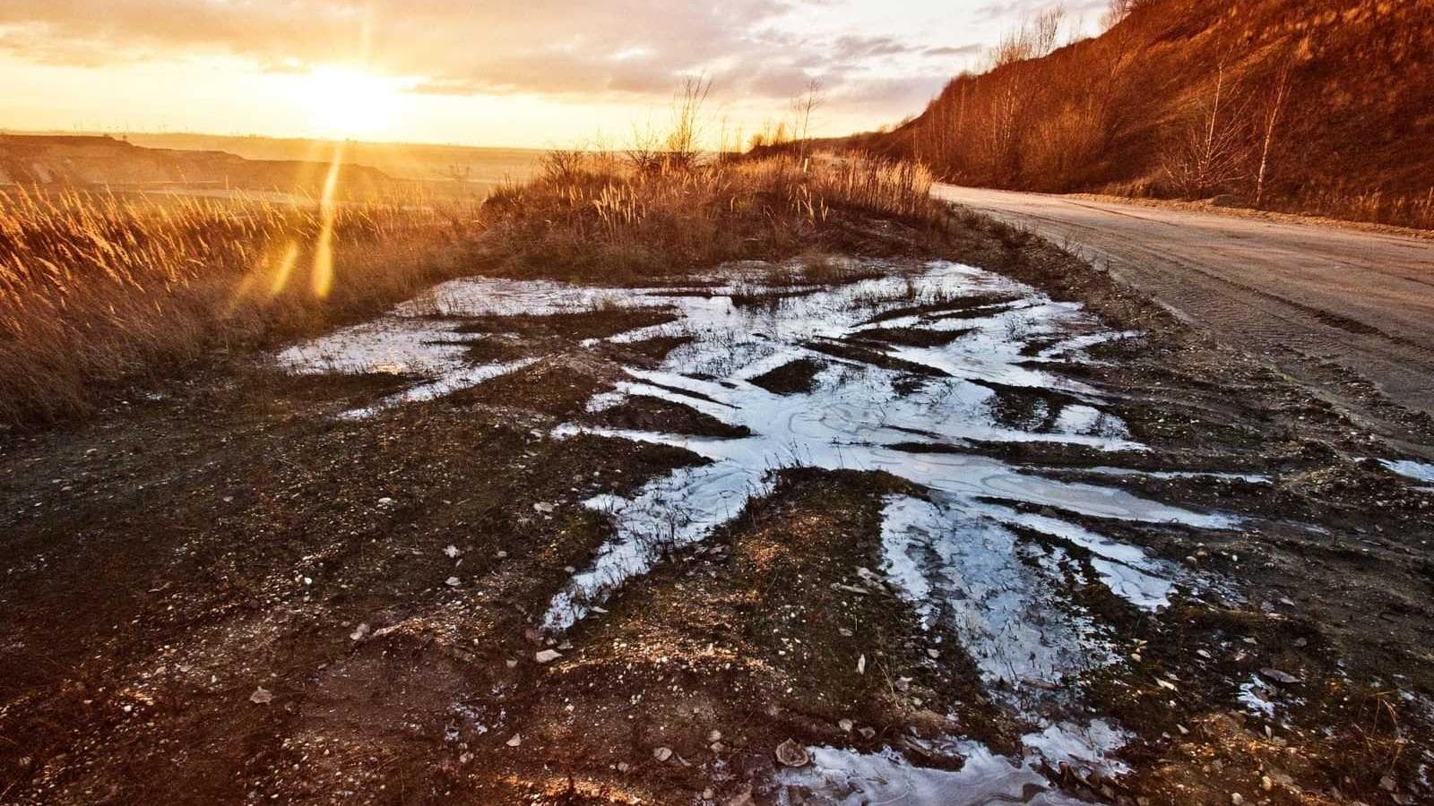 Inside the Brooklyn loft where no two chairs match — and it still works.