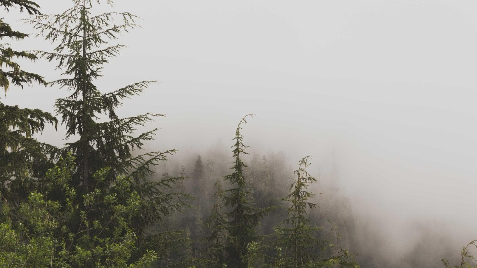 The quiet rise of single-author publications.