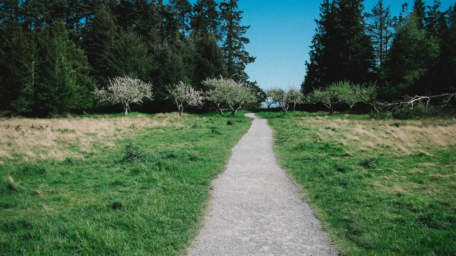 Four weekend projects that will actually last.