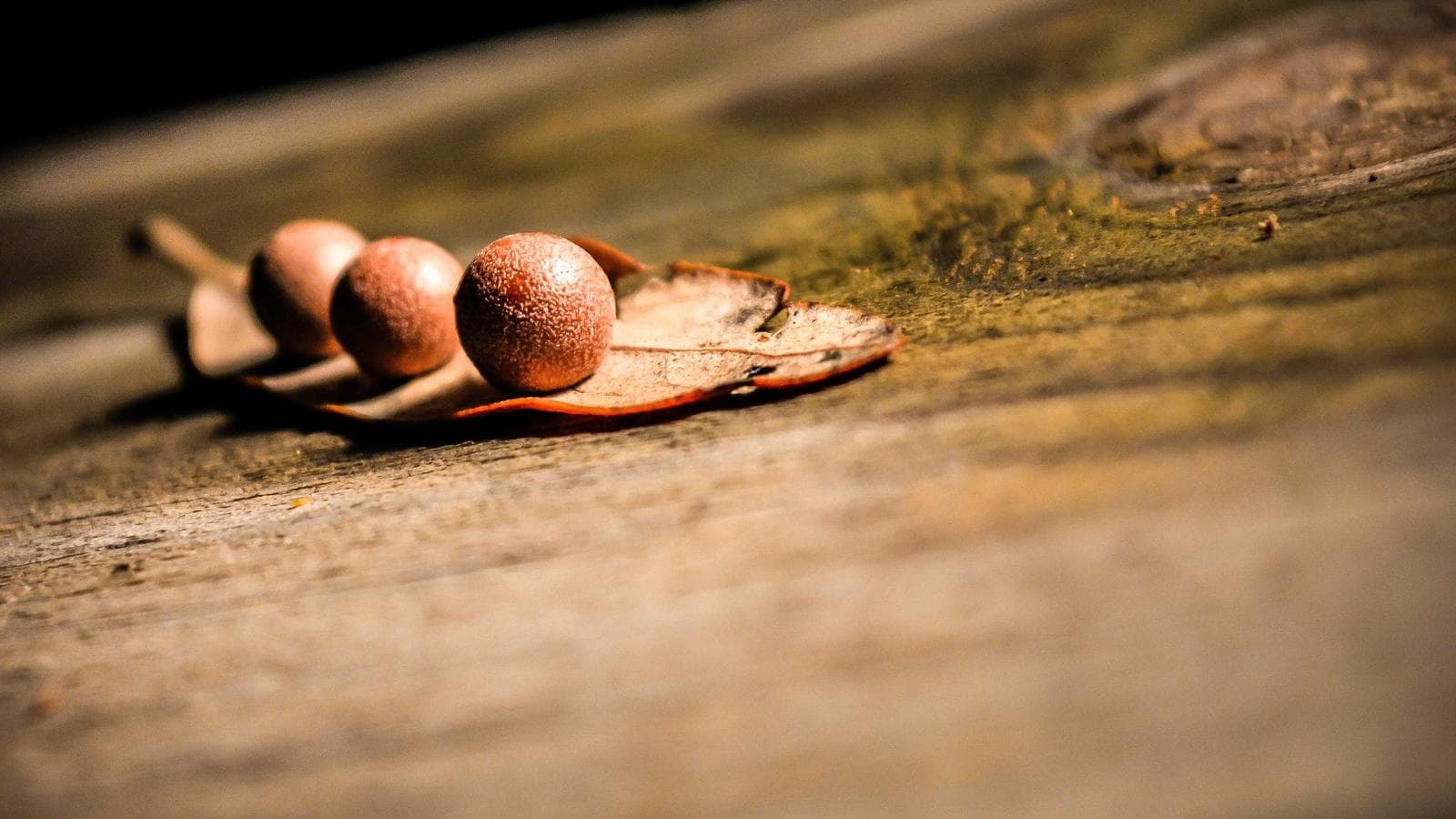 Independent publishing had its best quarter in a decade.