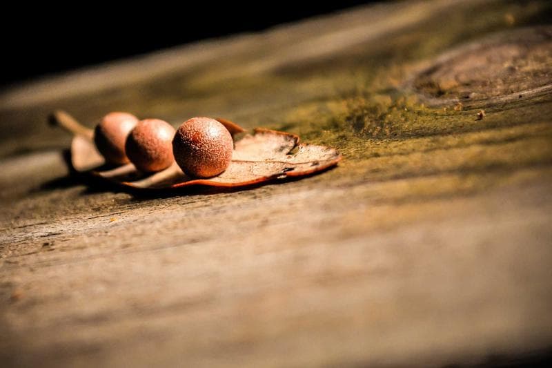 Independent publishing had its best quarter in a decade.