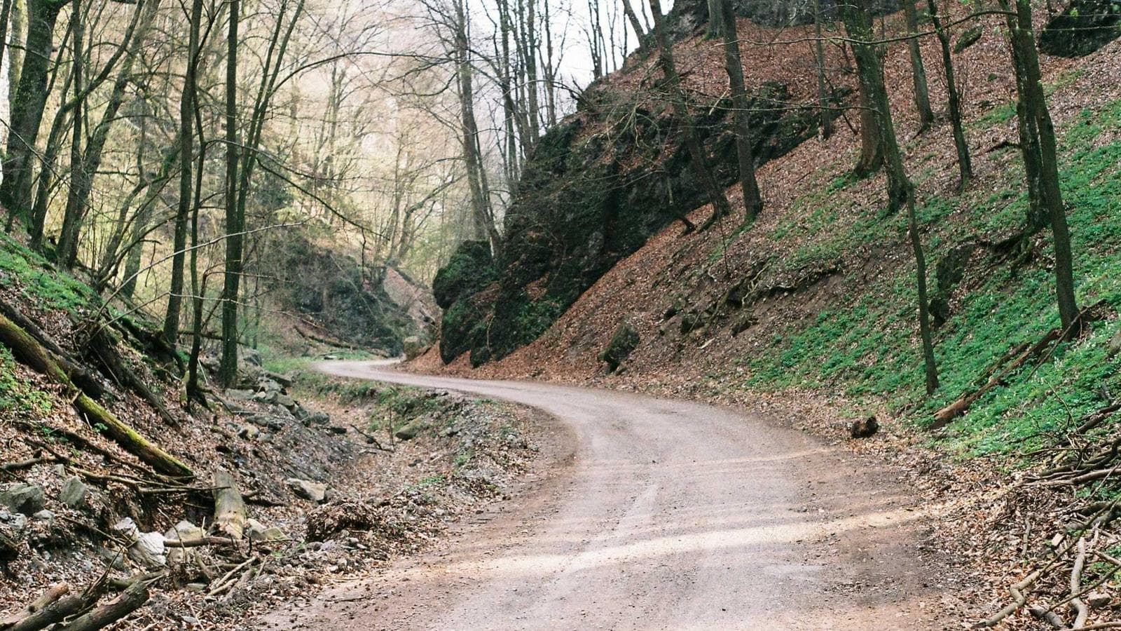 A quiet playlist for long lunches.