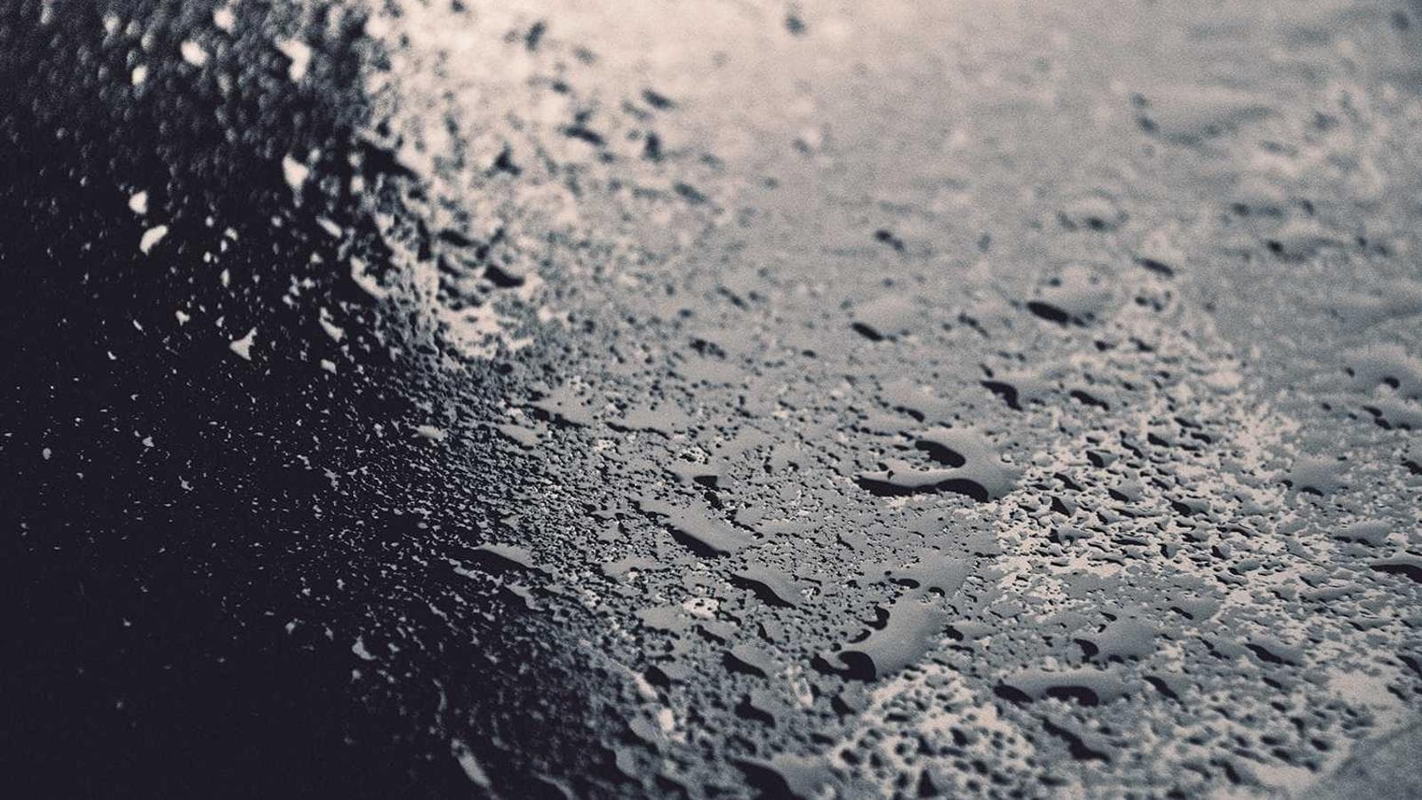 A 42-square-metre apartment that feels like a country house.